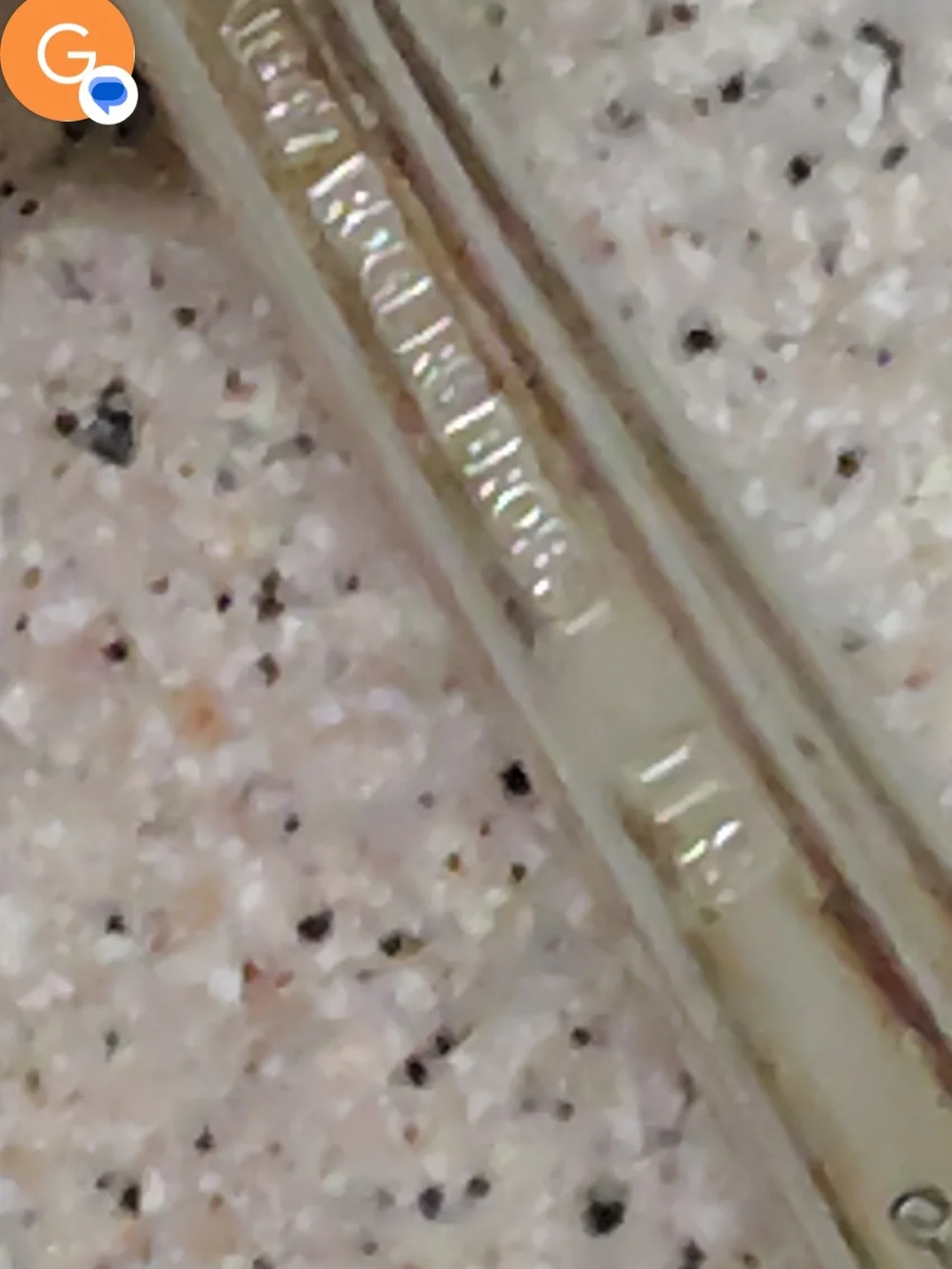 Wm Rogers dinner forks